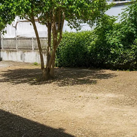 Immobiliare La Rosetana - Residenza Gialla * روزيتو ديلي أبروتسي